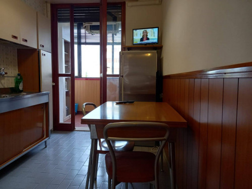 Appartamento in affitto a Bologna