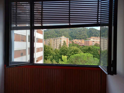 Appartamento in affitto a Bologna