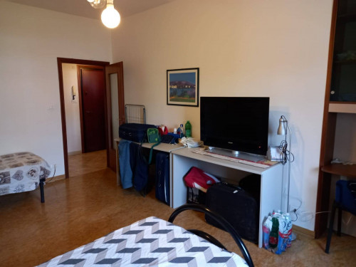 Appartamento in affitto a Bologna