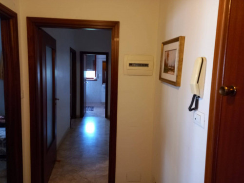 Appartamento in affitto a Bologna