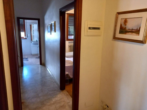 Appartamento in affitto a Bologna