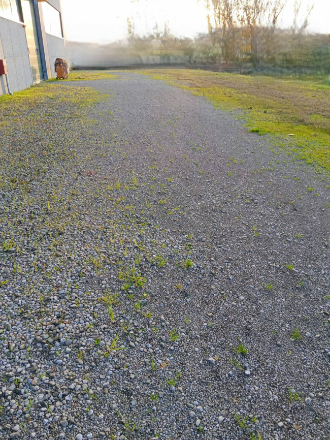 Capannone in affitto a Poggibonsi