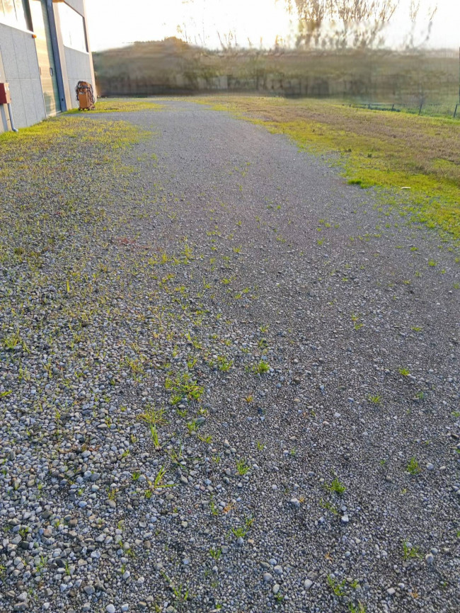 Capannone in affitto a Poggibonsi