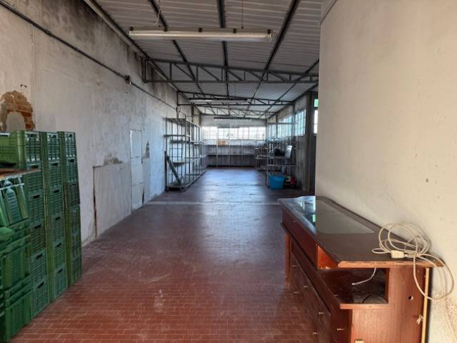 Capannone in affitto a Cerreto Guidi