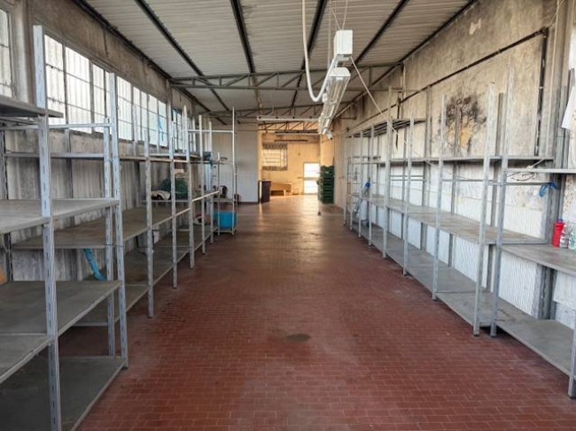 Capannone in affitto a Cerreto Guidi