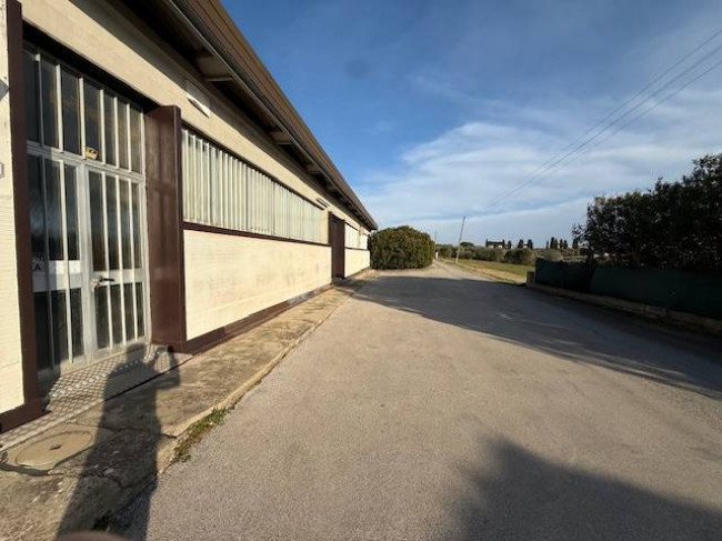 Capannone in affitto a Cerreto Guidi