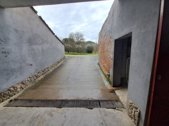 Casa indipendente in vendita a Palaia