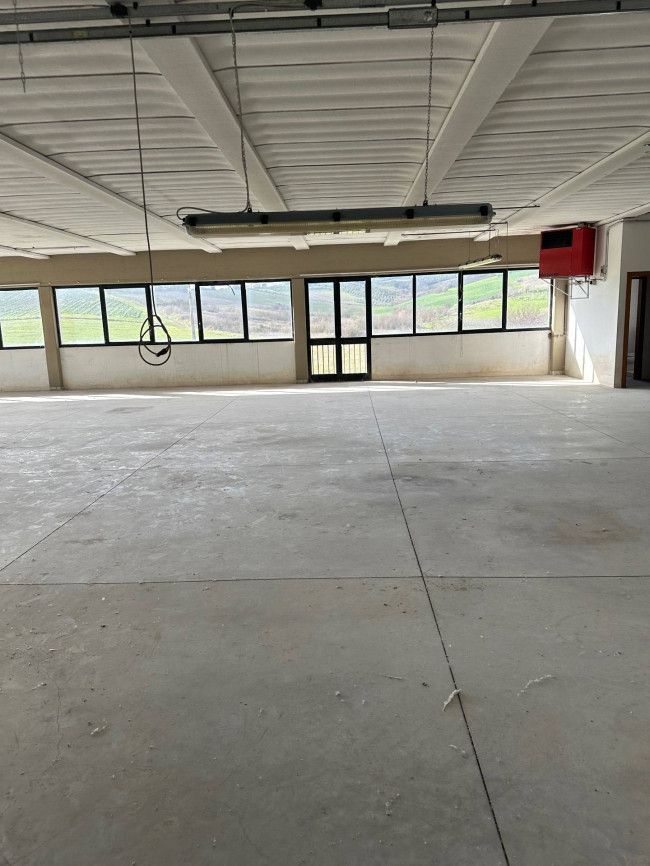 Capannone in affitto a Vinci