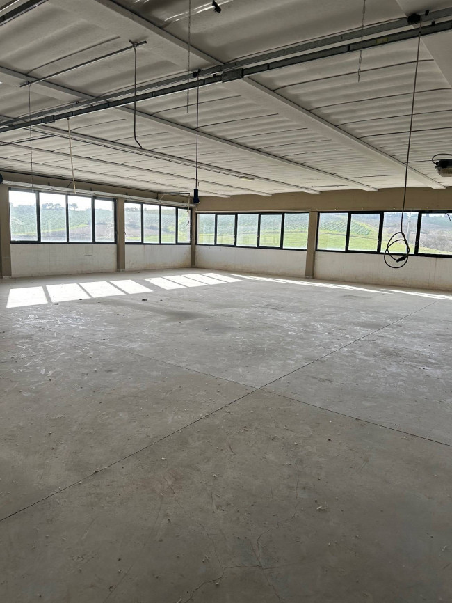 Capannone in affitto a Vinci