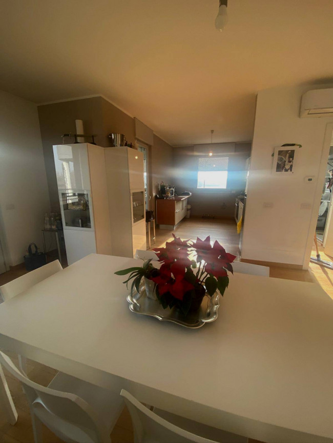 Appartamento in affitto a Magnago