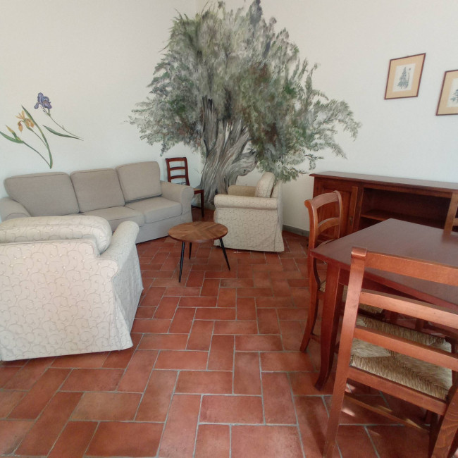 Casa semi indipendente in affitto a Montespertoli