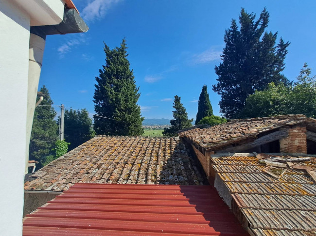 Appartamento in affitto a Empoli