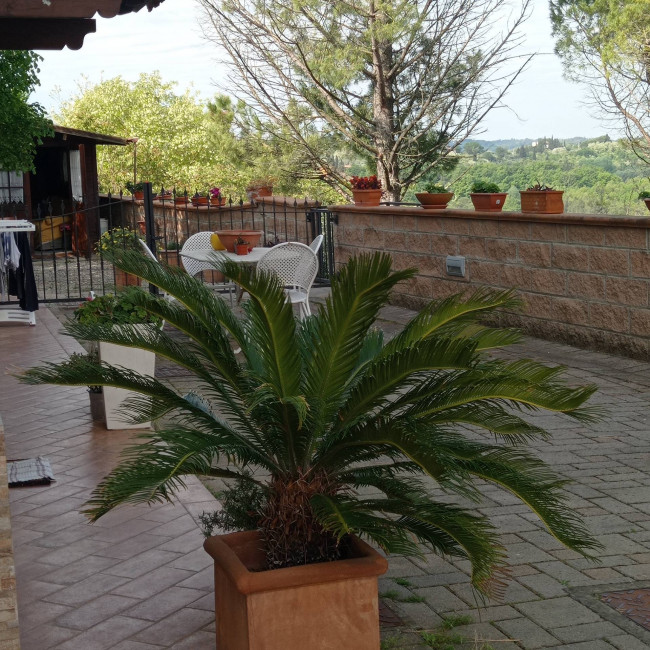 Appartamento in affitto a San Miniato