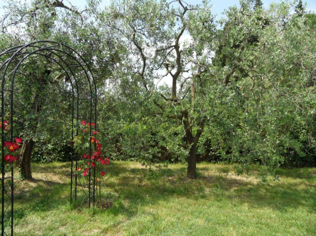Appartamento in affitto a Montelupo Fiorentino