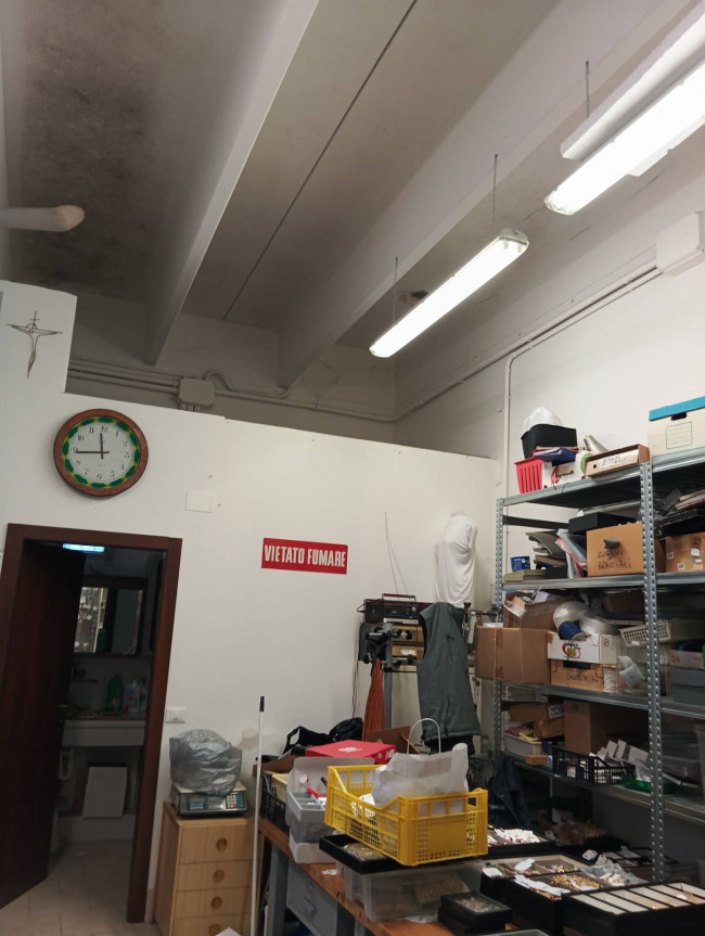 Capannone in affitto a Savignano sul Rubicone