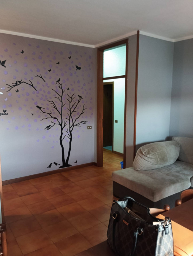 Appartamento in affitto a Gatteo