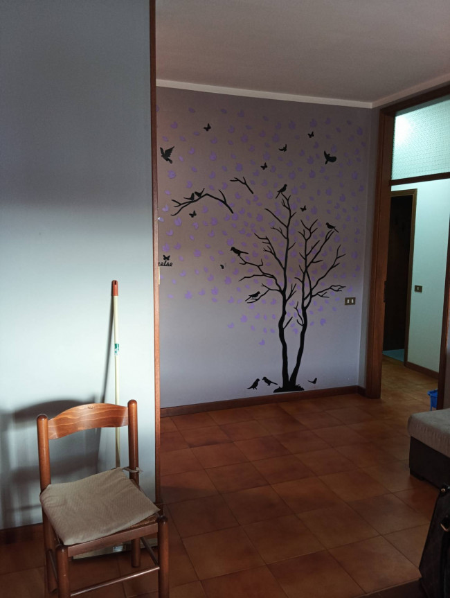 Appartamento in affitto a Gatteo