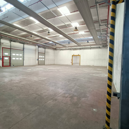 Capannone in vendita a Capraia e Limite