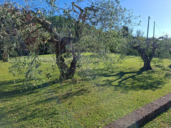 Casa indipendente in vendita a San Miniato